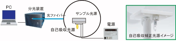 自己吸収補正